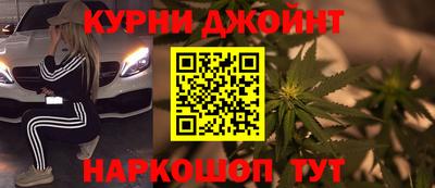 спайс Кингисепп