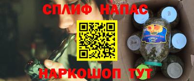 спайс Кингисепп