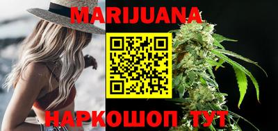 спайс Кингисепп