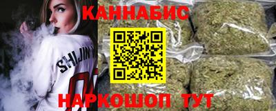 спайс Кингисепп