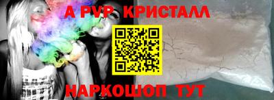 спайс Кингисепп