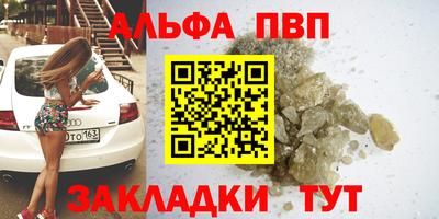 спайс Кингисепп