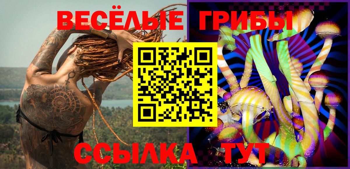 Котлас  Псилоцибиновые грибы Magic Shrooms  Вход с VPN 