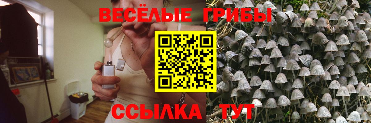 Галлюциногенные грибы GOLDEN TEACHER Котлас