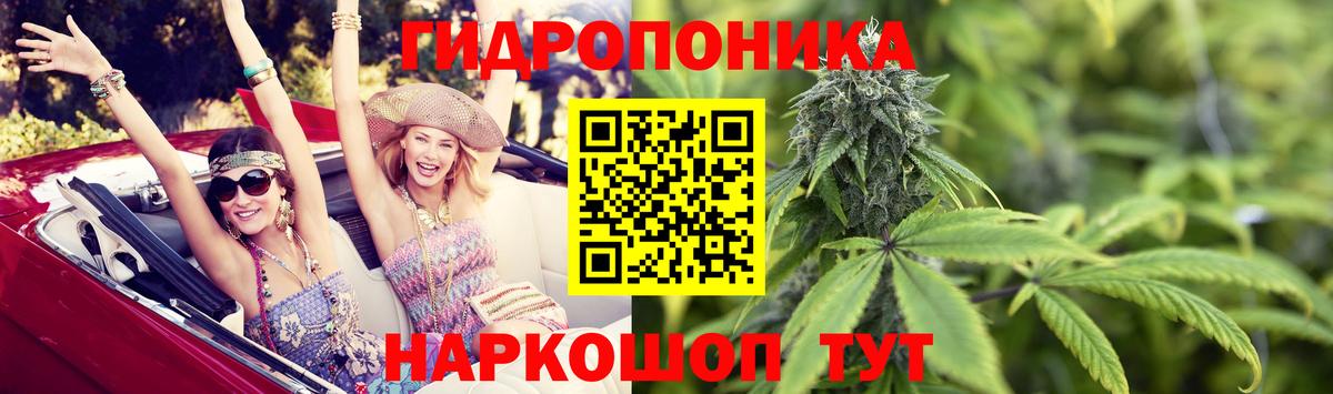 Марихуана SATIVA & INDICA Котлас