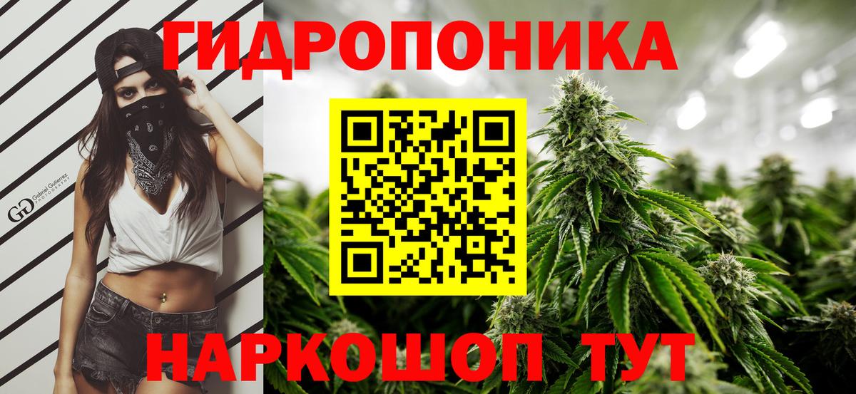МАРИХУАНА VHQ  Вход с VPN  Канабис OG Kush  Котлас  Марихуана VHQ  Бошки марихуана тримм 